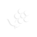 Best Real Estate Developers in Dronagiri